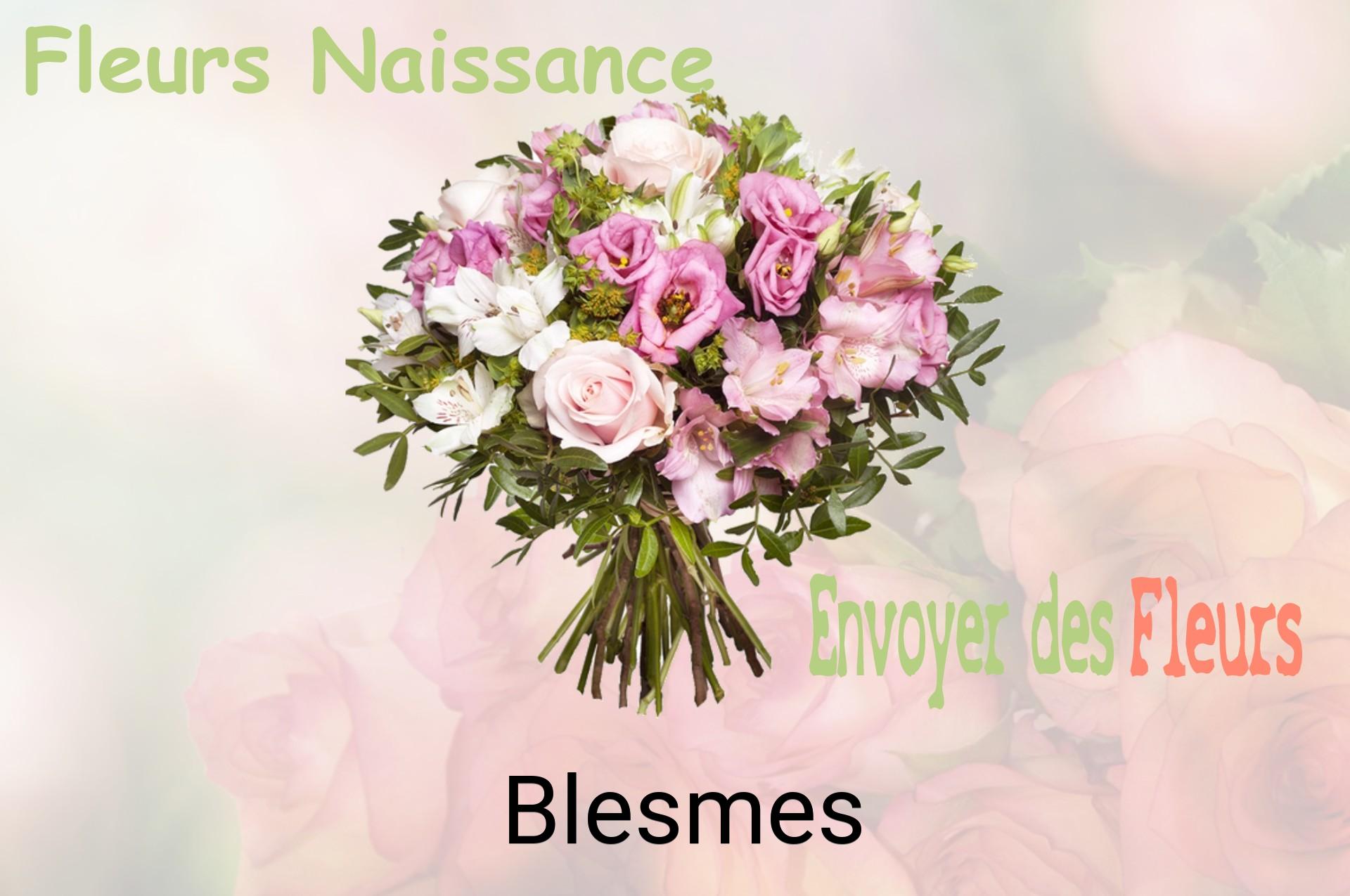 Bouquet de fleurs de naissance livré à Blesmes